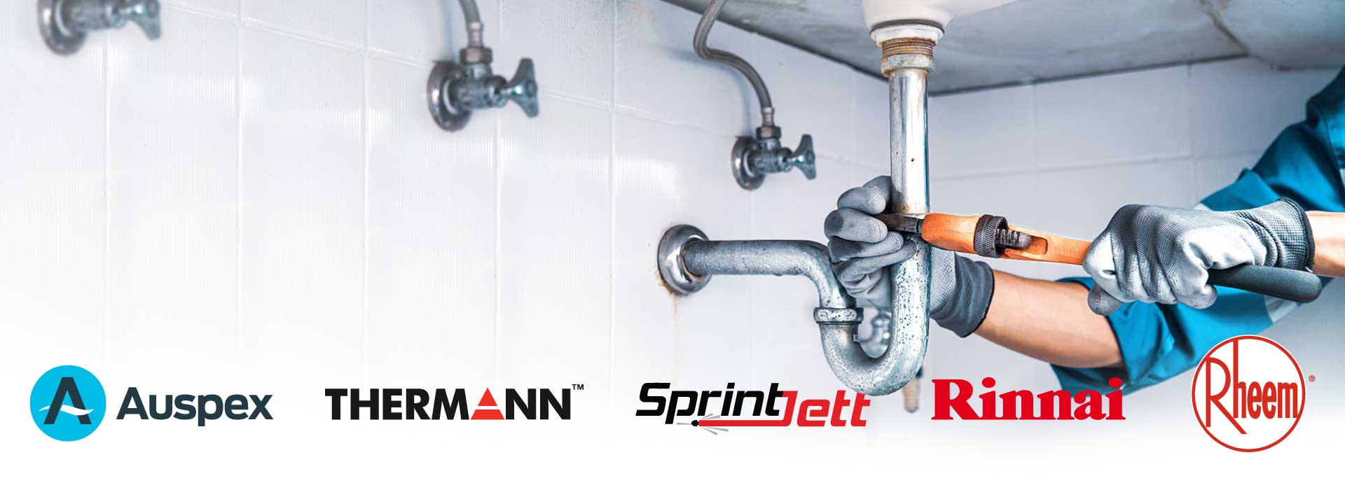 professional plumber repairs sunshine coast